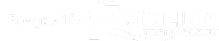 auxilium technology