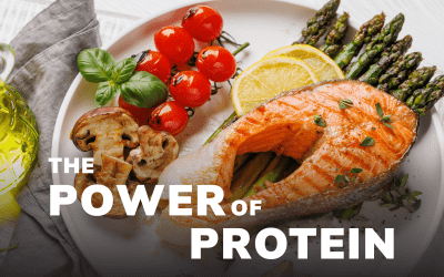 The Power Of Protein for Longevity